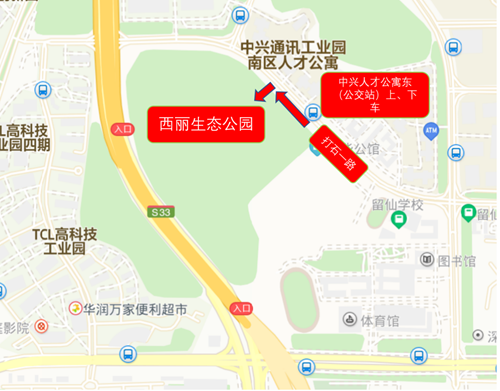 海绵,南山区,公园,街心公园,深圳,生态公园