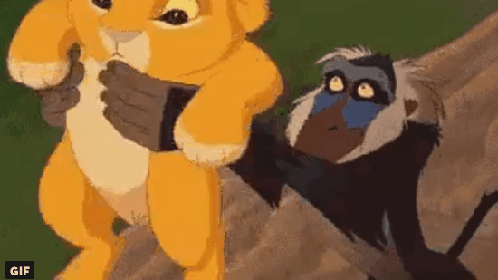 550_309gif 动态图 动图