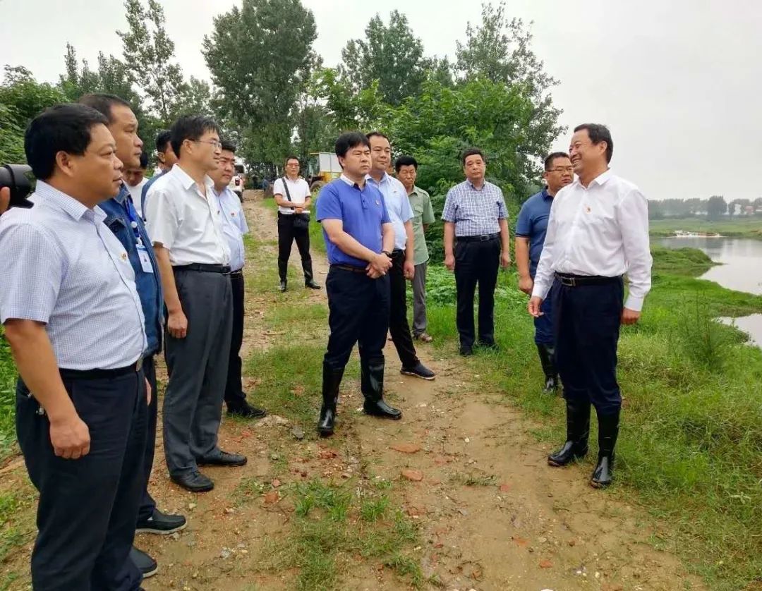 卧龙区委书记高贤信巡河并检查指导防汛工作
