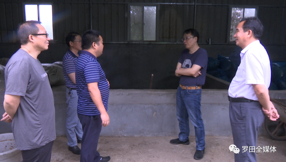 7月16日,湖北省能源办相关负责人来罗田县调研秸秆综合利用工作.