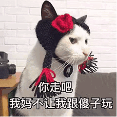 表情包你走吧我妈不让我跟傻子玩