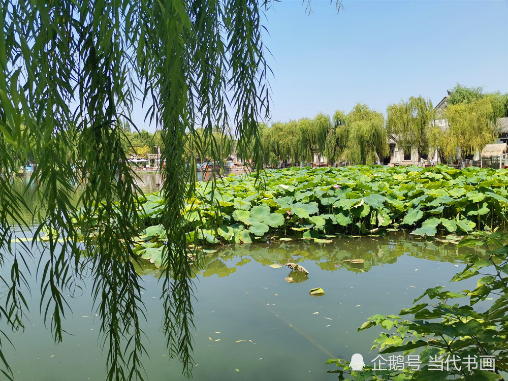 泉城济南,济南的夏天,夏天来了