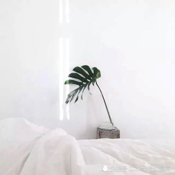 永远都是小小清新,ins风封面图,微信朋友圈