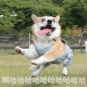 表情包图:早上好图片表情包可爱0720期