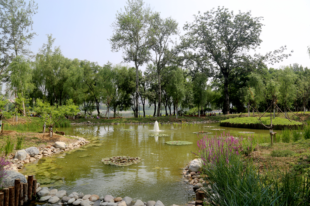 莲花池公园,北京