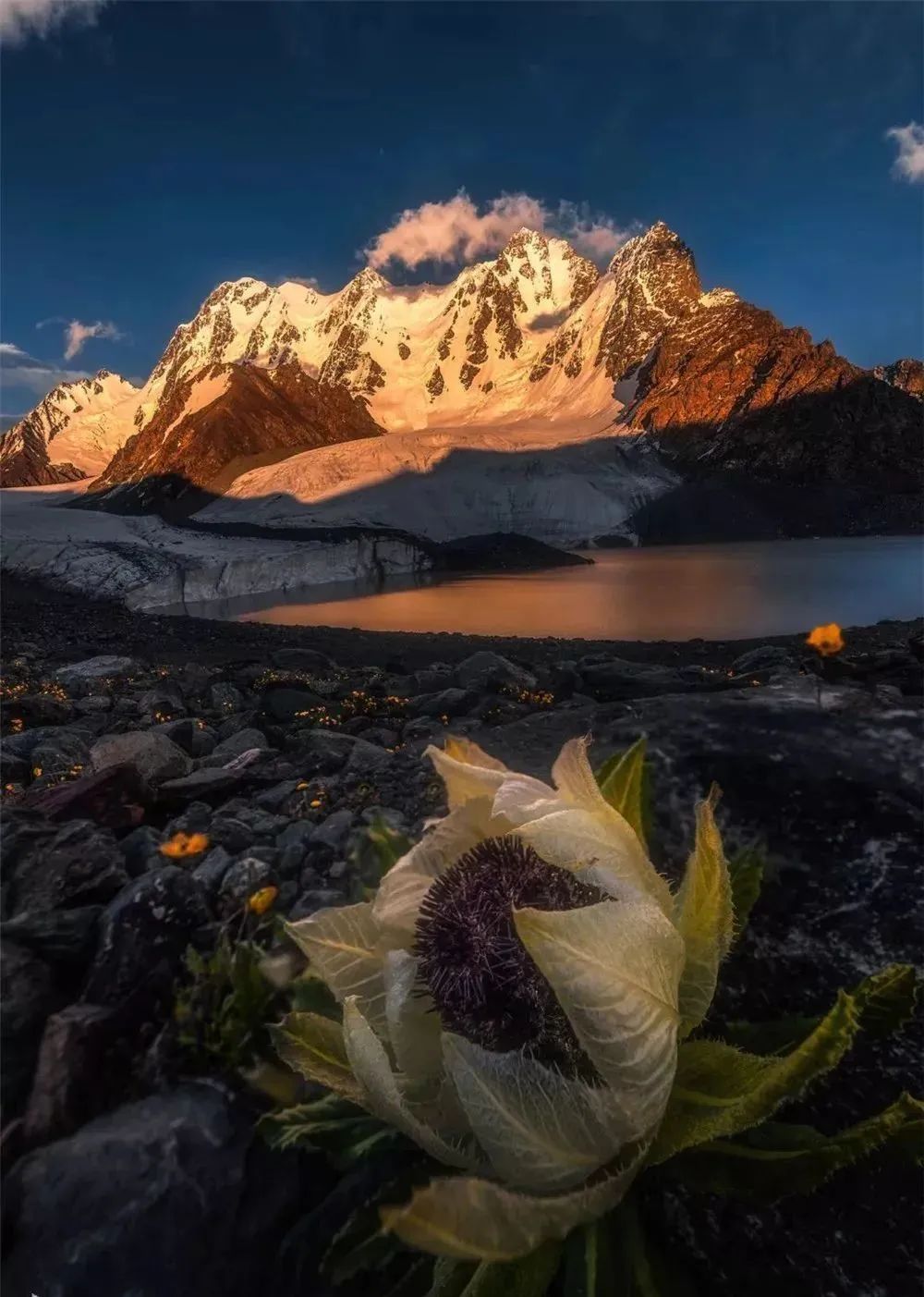 火山少年带您探秘新疆奇峰-博格达峰