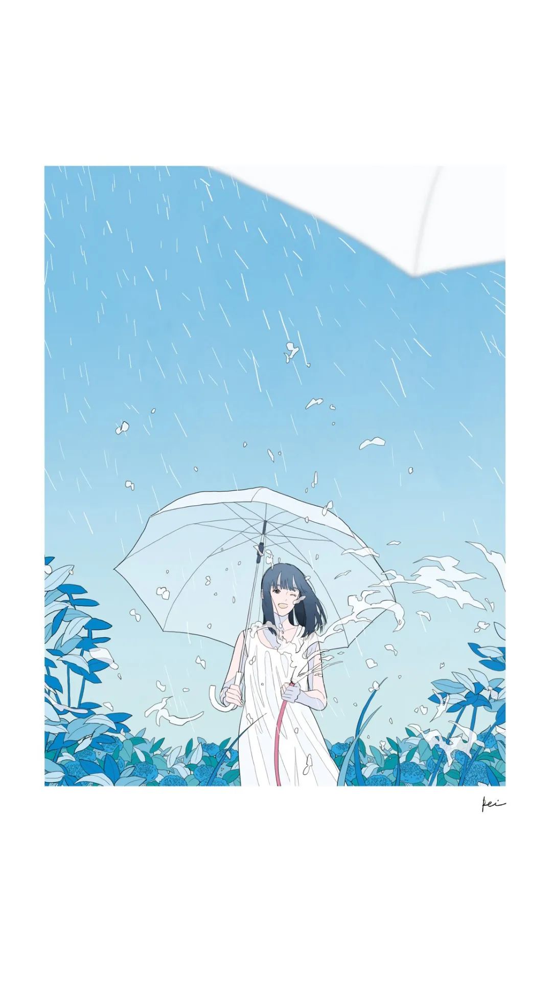 夏天的蓝 日本插画艺术家