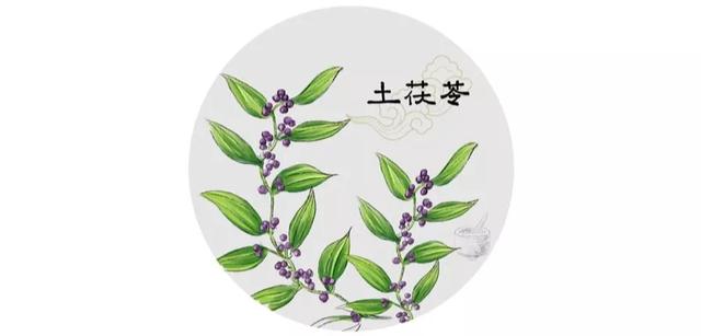 土茯苓,中药,健康,药物