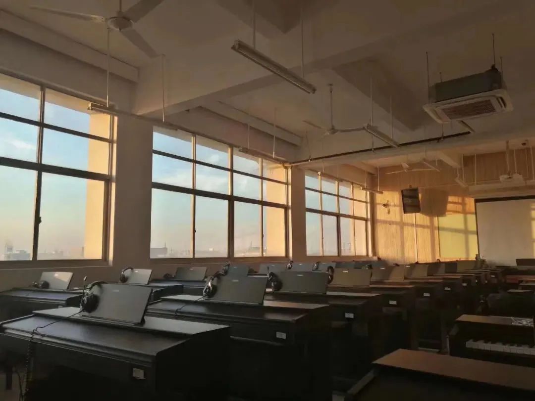 震旦,震旦职业学院