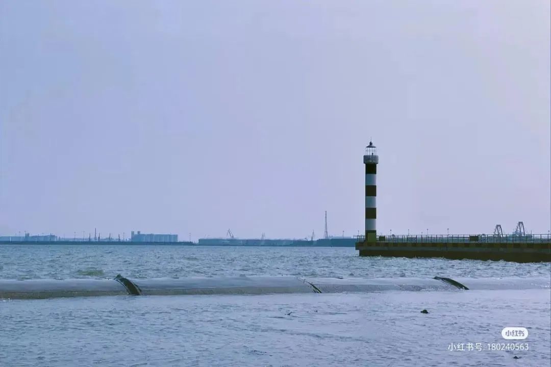 天津,海河,塘沽,海滨浴场