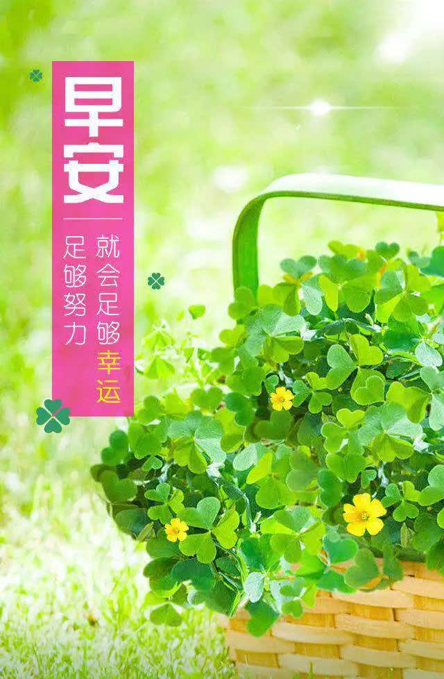7月23日朋友圈最新早安正能量的句子
