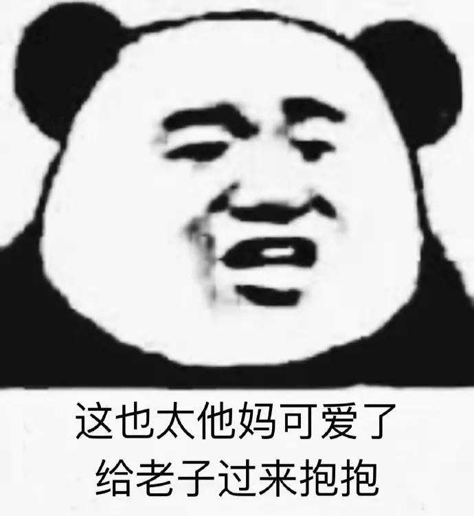 今日搞笑熊猫头表情包!