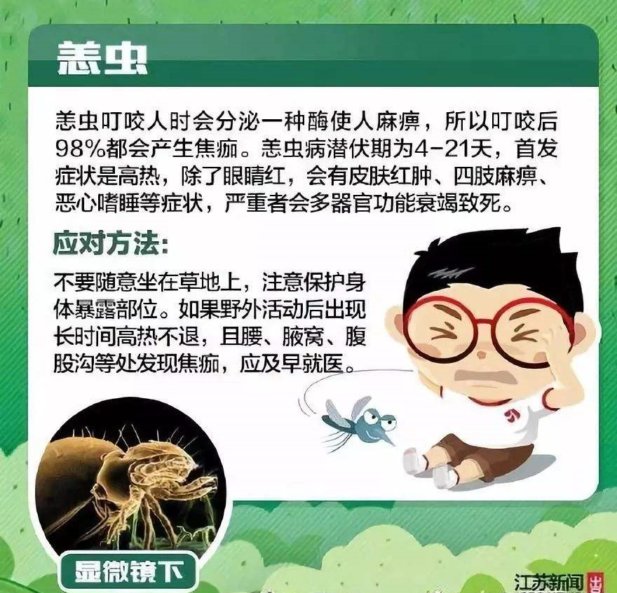 焦痂,高烧,粤北人民医院,恙虫病