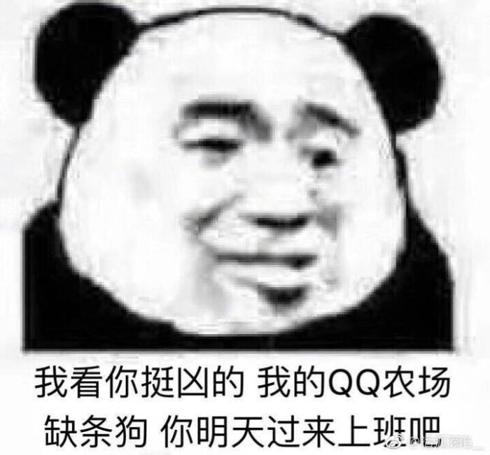 发给你憨憨男朋友的表情包