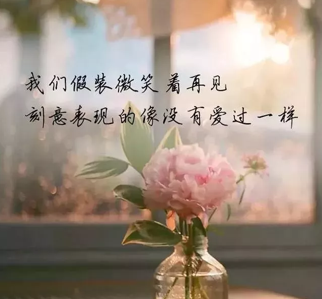 适合发朋友圈人生感悟的说说语录 精辟又有哲理