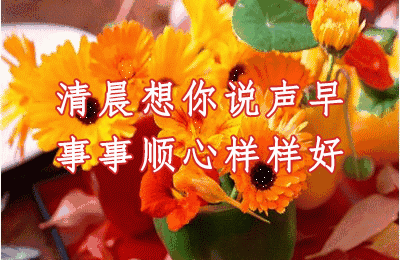 人生感悟经典语录 早上好祝福语录大全 早上好表情动态