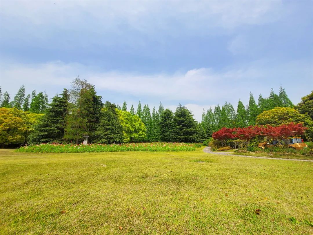 占据着朋友圈c位的野餐地,就藏在这些公园里