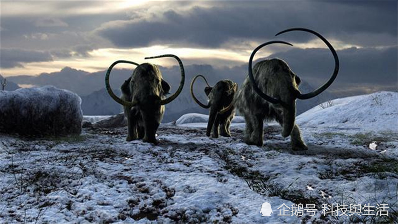46000年前史前生物重见天日南极本是地球净土如今是怎么了