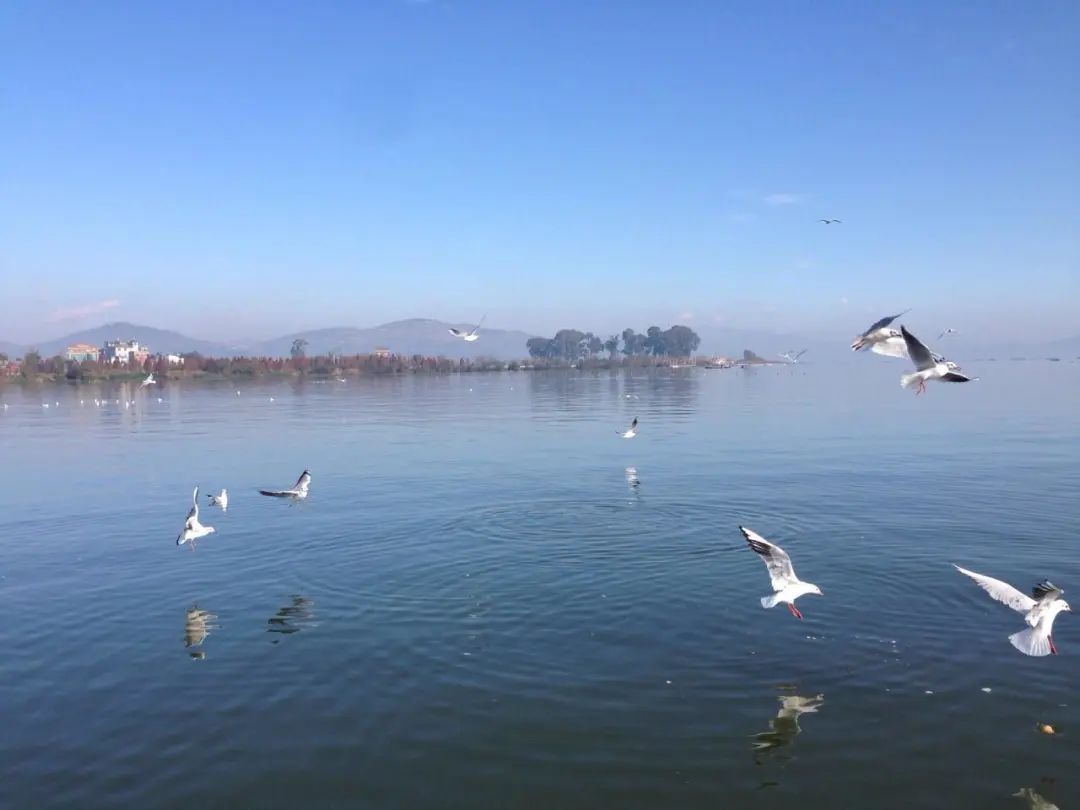 夏日光景好,赶紧来玉溪游玩一番吧!这十大旅游风景太美了