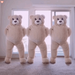 经典跳舞熊动图表情包合集好多