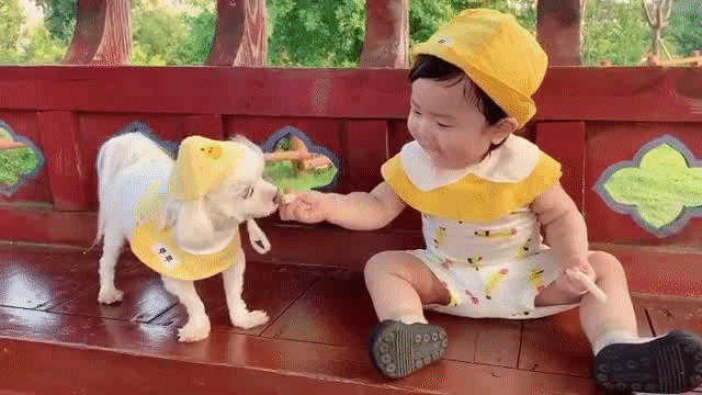 当萌娃遇上萌宠,谁是主子还不一定!