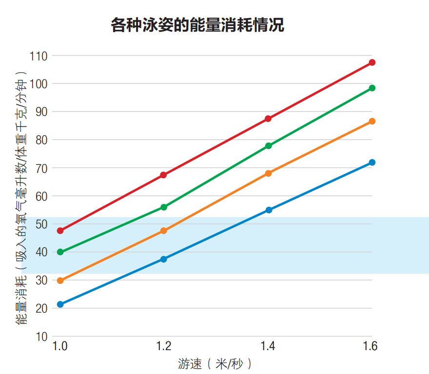 四种泳姿的能量消耗情况,哪种适合你?