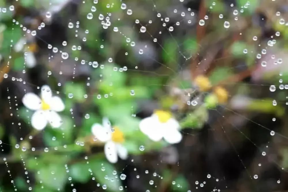 奥马尔《倾盆大雨》,这么清凉的夏天!