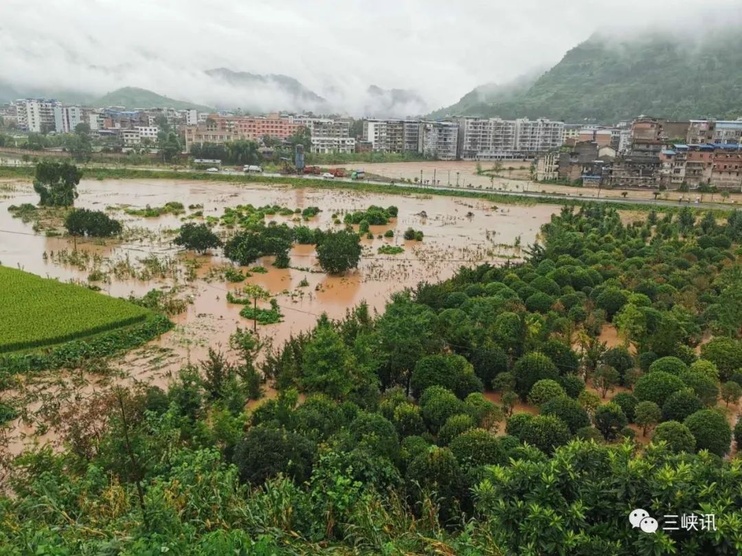 暴雨,万州区,余家镇,受灾