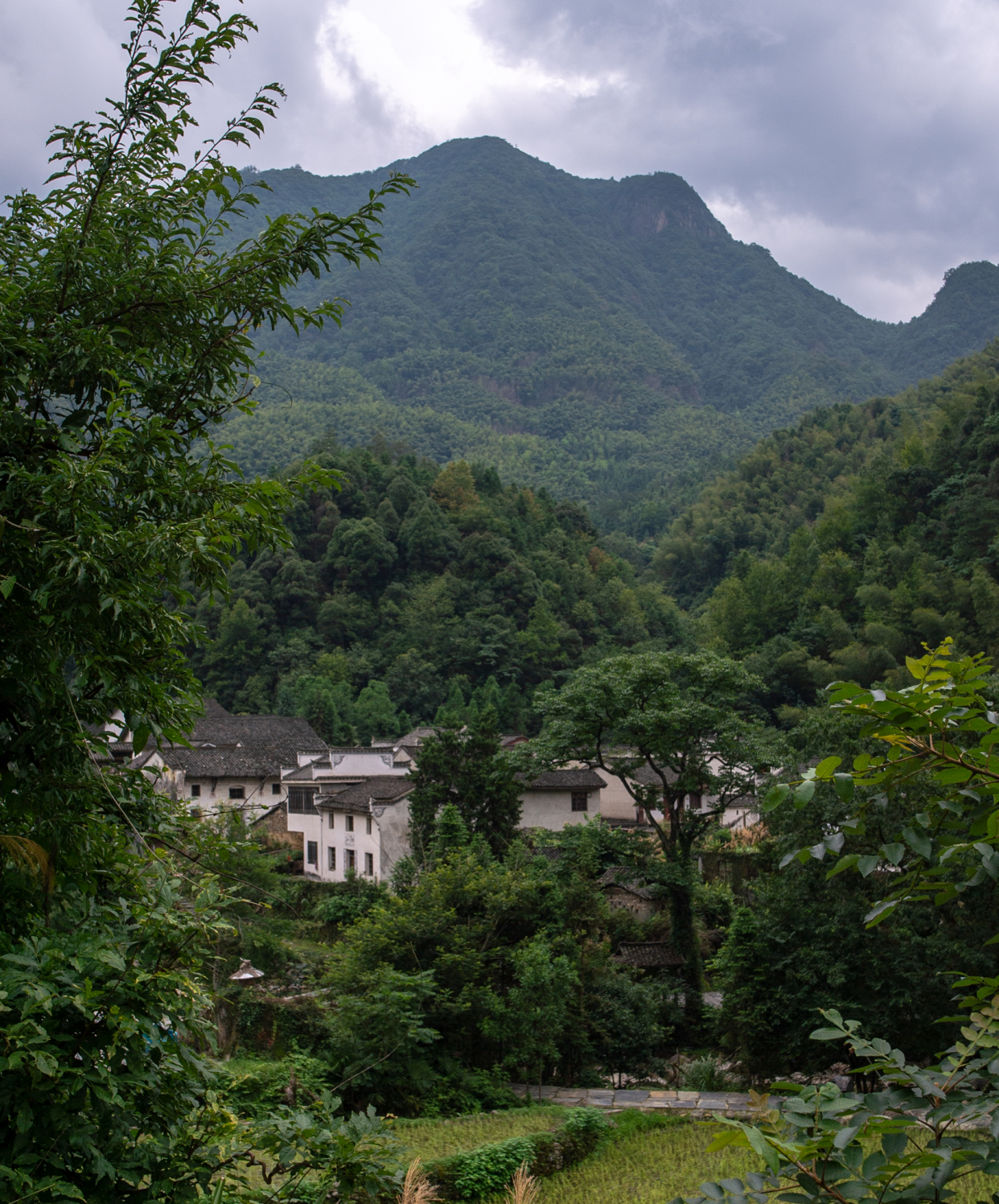 安徽,石台,白石岭,石台白石岭