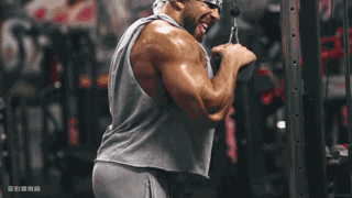 034组*8-12次044组*10次(每只手)054组*12次064组*8-12次074组*12次