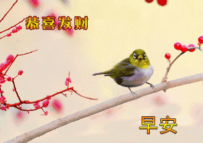 微信早上好快乐祝福语大全2020早上好问候祝福语漂亮美图