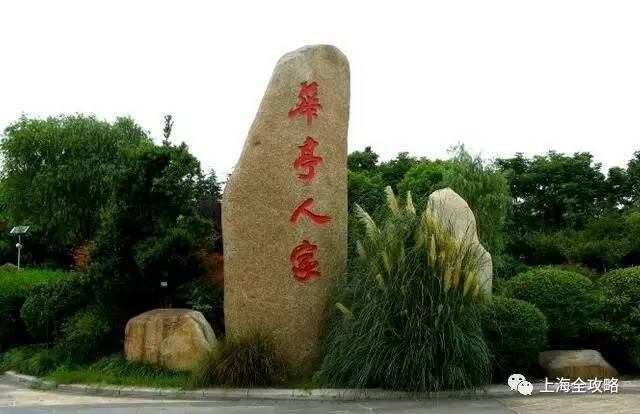 魔都最全骑行路线,我却只走过3条!你呢?