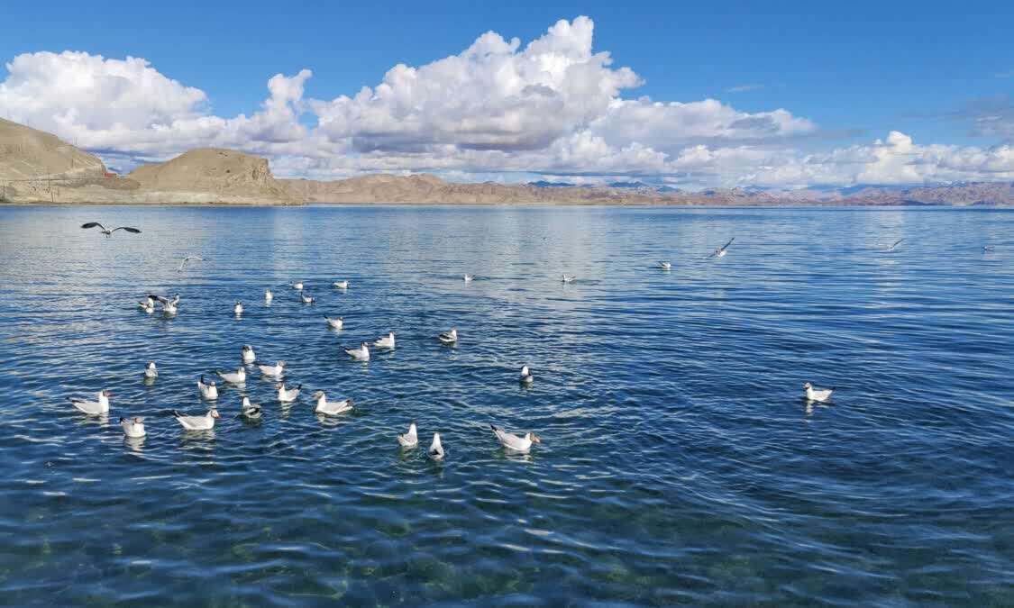 班公湖,西藏,阿里地区,淡水,岛屿