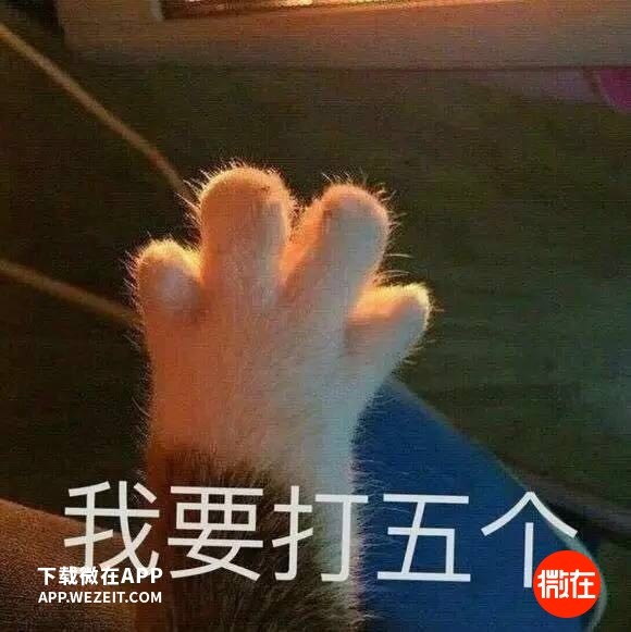 ȫҪǮӡȼŮҵ