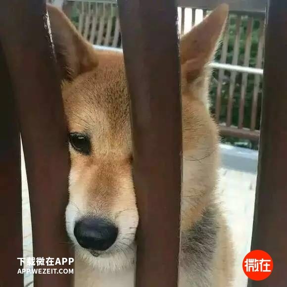 ȫҪǮӡȼŮҵ
