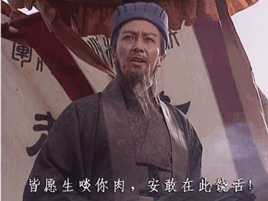 成功案例:诸葛亮骂死王朗《三国演义》中出现过各种各样的骂阵,经