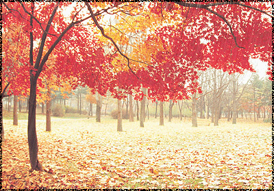 立秋养生重梳理,提前看看这里