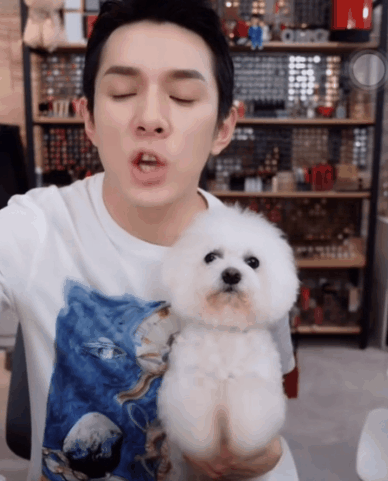 人不如狗/猫系列:我也想在ta怀里
