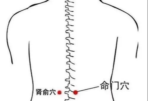 腰为肾之府,刺激腰部的 命门穴,肾俞穴有助于增加肾气.