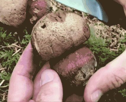 426_344gif 动态图 动图