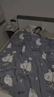 狗狗：不好意思主人，我记错剧本了