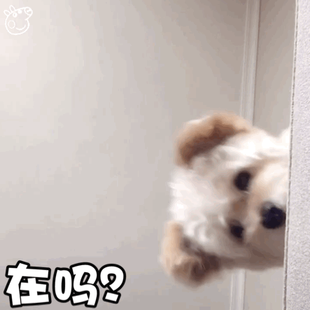 幽默搞笑想把头像换成还钱两个字每天给欠我钱的人点赞评论357