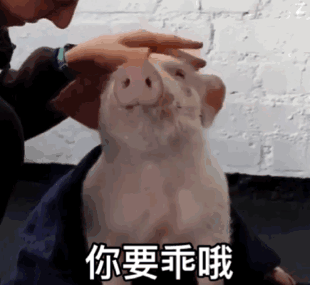 表情包丨懒得理你