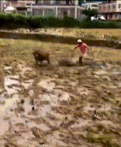 憋笑测试,30幅超搞笑gif图,只要笑出声就要点赞哦