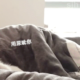 点一个