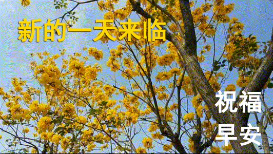 8月21日清晨群发早上好问候祝福语动态图片 早晨好问候动态图片表情带