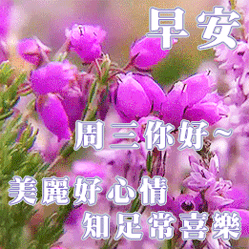 早上好祝福语表情包 早上好问候语带动态图片