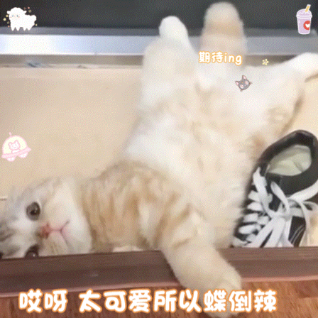 表情包图:比心表情包动图gif0708期