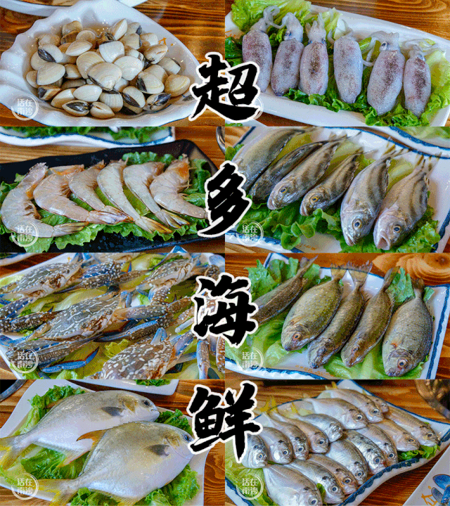 鲜甜可口直接由码头到餐桌来南沙这间海鲜餐厅叹湛江海鲜平价新鲜