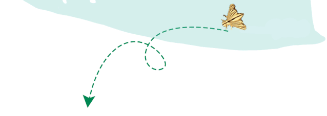 own是什么意思,own是什么意思中文